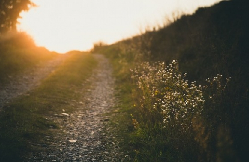 Countryside footpath