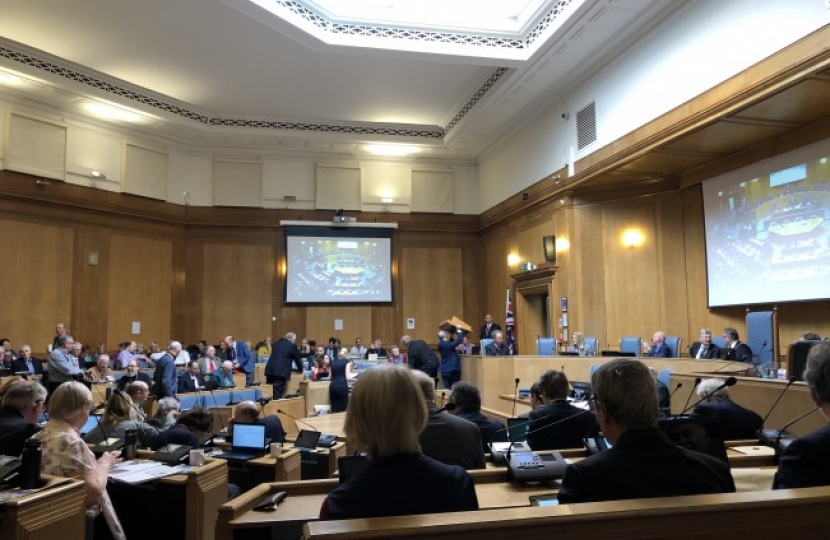 Wiltshire Council Meeting