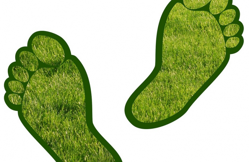 Pair of grassy feet - Carbon Footprint