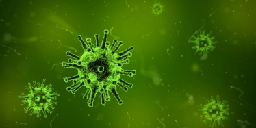 Coronavirus graphic