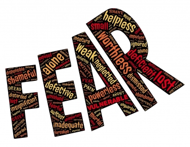 Fear Infographic