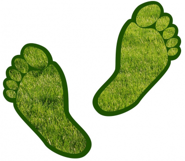 Pair of grassy feet - Carbon Footprint